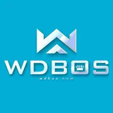 WDBOS - Pertarungan Epik di Dunia Seni Bela Diri